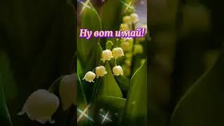 #1мая
