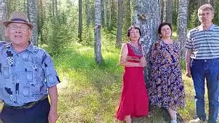 Русалочки