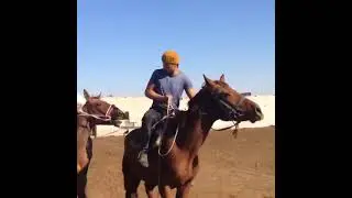 Жекпе-жек шебері Мейіржан Мәтжан|Асау үйрету🏇🇰🇿👍