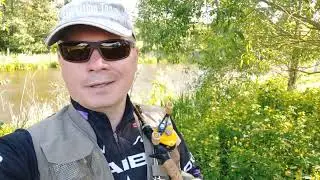 Daiwa Pixy Yellow Pearl Limited и Loongze DC B51AIRHG. Голавль на реке. Чуть не пролюбил телефон