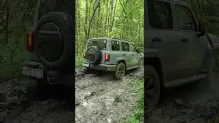 ТАНК 300. Старогатчинский лес с клубом Танк300Russia