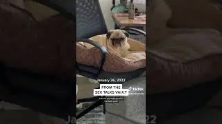 From The Sex Talks Vault (January 26, 2022)