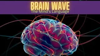 Your Brain on Waves: How Brainwaves Help You Memorize and Recall Information