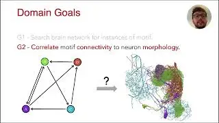Vimo: Visual Analysis of Neuronal Connectivity Motifs | VIS 2023