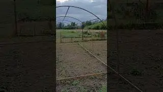 Ставим каркас с теневкой под цветы. #shorts #garden #цветы