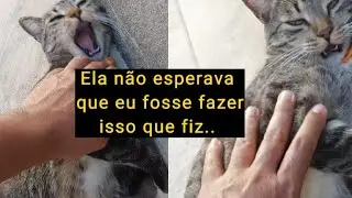 #Parte3 - Hannah: a gatinha dele (Filme)