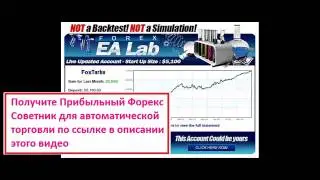 Форекс Прогноз  Наш Доход На 1.05.14 За Месяц По Фунт\Доллару (Gbp\Usd) [Курс Фунта Форекс]