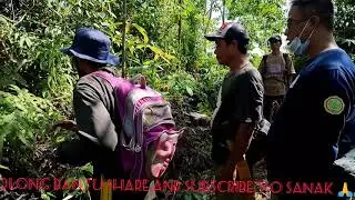 PROSES VERIFIKASI LAHAN PKSP DISTAN KAB. SELUMA OLEH BIDANG PERKEBUNAN