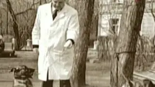 Сердце на ладони