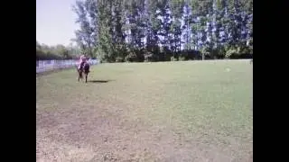 Конный спорт ,,фаворит,,2