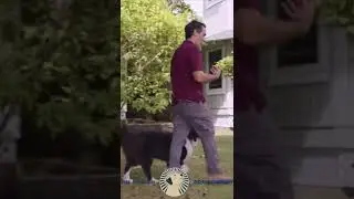Loose Leash Practice | The Beacon Dog Academy