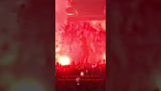 Я как дурак за тобой ходил 