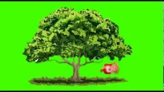 Green screen​ video, green screen