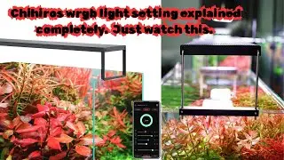 Must watch before buying. Are Chihiros WRGB 2 light setting on aap. 