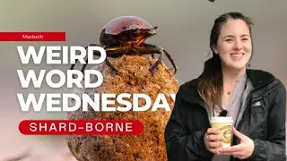 What does 