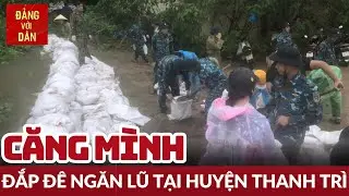 Cùng nhân dân đắp đê ngăn lũ tại huyện Thanh Trì | Tin tức AN SINH - XÃ HỘI | Đảng với Dân