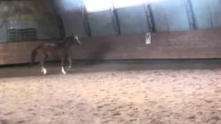 Мое измененное видео