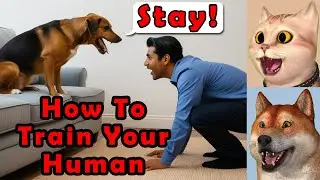 3D Pet PODCAST Comedy: How Cats & Dogs Domesticated Humans!