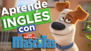 Aprende inglés con La vida secreta de tus mascotas | Express English
