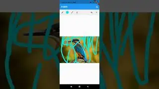 Simple color picker by tapping on the image flutter