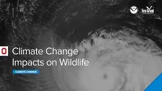 Climate Webinar: Climate Change Impacts on Wildlife