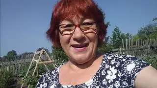 Работаю с телефоном в руке .