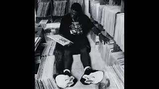 (FREE) Boom Bap 90s Type Beat  Pete Rock x Common x J Dilla / Instrumental de freestyle / 'WISE'