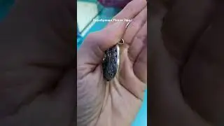 Мусульманская атрибутика. Серебро. 