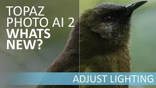 Adjust Lighting in Topaz Photo AI 2