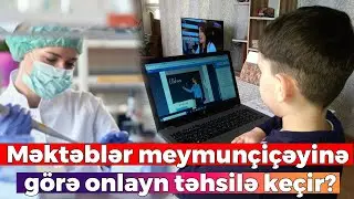 Azərbaycanda məktəblər meymunçiçəyinə görə onlayn təhsilə keçir?