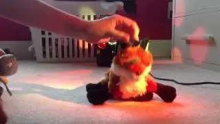 Webkinz JUST DANCE!
