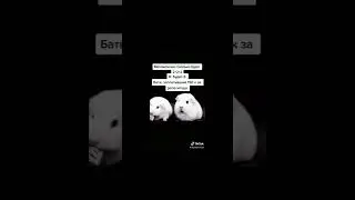 #tiktok #рекомендации #мем #актив #мемы #мем #shots #shortsfeed #shorts #юмор #a4 #топ #топчик #реки