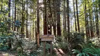 Our 5th Turkey Ride.. with a bun in the oven! | Mendocino MTB