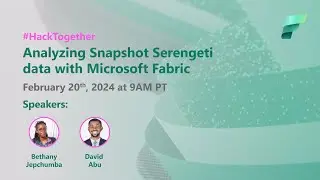 Building a Custom Object Detection Model on Microsoft Fabric with Snapshot Serengeti Dataset