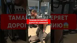 ТАМАЕВ ПРОВЕРИЛ ДОРОГУЮ ХИМИЮ! ПОДНЯЛ ВЕС АХМЕДА! 