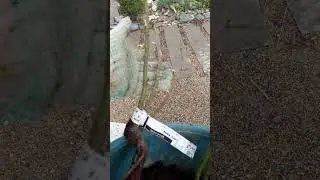Посылка из питомника ,,Аромат роз