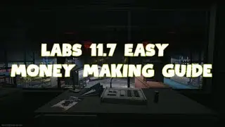 Labs 11.7 Easy Money Guide (SUPER EASY!)
