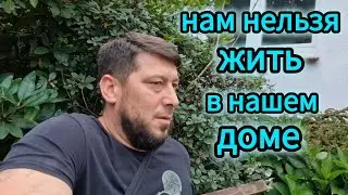 3️⃣0️⃣✔️ РЕМОНТ СТАРОГО ДОМА ВОЗЛЕ ЛЕСА  / ВАЖНЫЕ НОВОСТИ / #купилидомвгермании