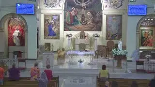 7/14/2024 - 15th Sunday in Ordinary Time