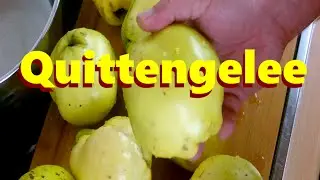Quittengelee selber machen ! Rezept !