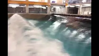 Wave tank