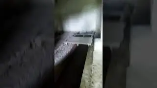 Аню Котю похитили?