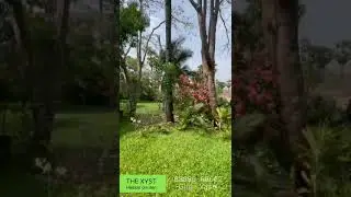 THE XYST