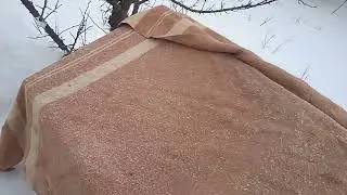 Теплица с подсветкой. Эксперимент при -3.