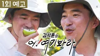 [1회 예고] 김석훈 LG헬로비전에 떴다🎆｜김석훈의 어!여기봐라
