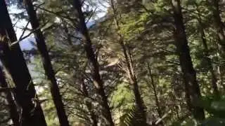 InterAm 2015 Oregon trail #1 part 2