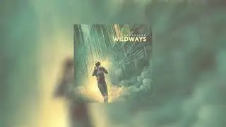 wildways - километры speed up