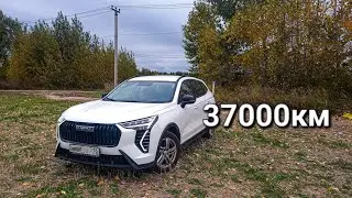 Пол года в такси на Haval Jolion. Все не так однозначно