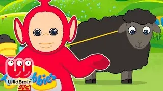 Teletubbies | Baa Baa Black Sheep & Many More | Nursery Rhymes for Children | Kids Songs Teletubbies