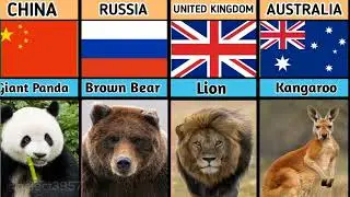 National Animals from Different Countries #ytshorts#shorts #shots #viral #comprison #data
